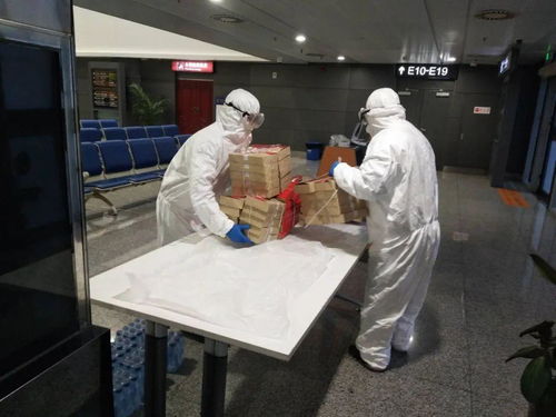 空港食品公司運(yùn)行保障部順利完成入境分流進(jìn)京航班食品經(jīng)營保障任務(wù)